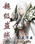 超级盗贼e