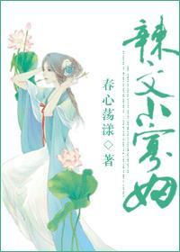 辣文寡妇(全本)免费阅读