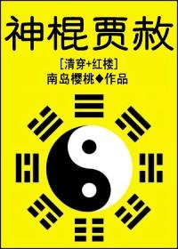 主角贾赦