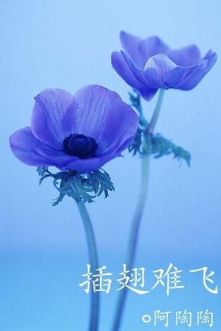 插翅难飞风动铃心免费阅读