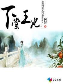 下堂王妃难再娶楚轻狂
