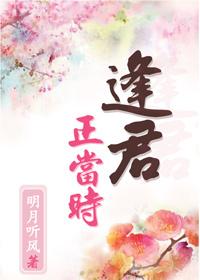逢君正当时电视剧免费观看网站