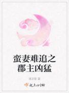 蛮婚免费阅读全文