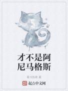 阿尼马格斯测试免费