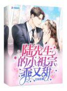 陆先生的小祖宗乖又甜 番外