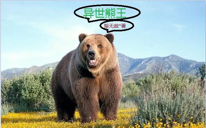 异世熊王资源全文免费阅读笔趣阁