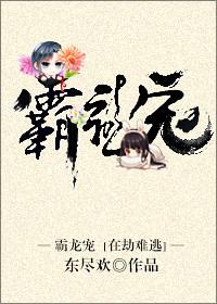 霸龙宠txt