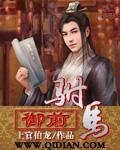 御前驸马全集免费观看
