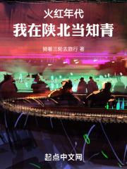 火红年代我在陕北当知青txt