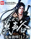 主人公是武当莫声谷的