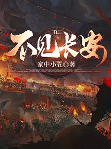 不见长安的