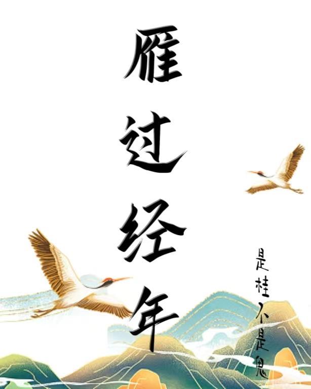 雁过留声百科