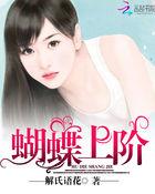 蝴蝶上下