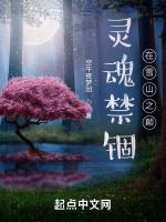 灵魂被禁锢了什么意思