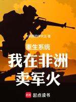 重生非洲军火商