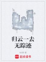归云一去无踪迹何处是前期全诗