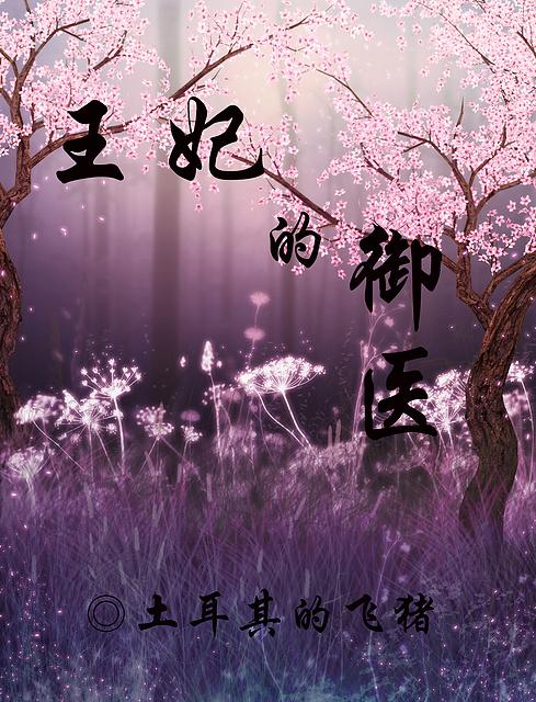御用医妃