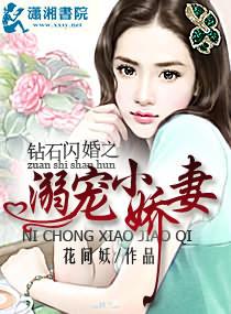 钻石闪婚之溺宠小妻全文免费阅读