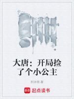 大唐开局捡个公主免费txt