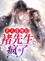 叶昭昭褚晏i