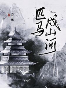 匹马孤征是什么意思