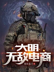 大明之无敌太子