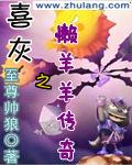 喜羊羊与灰太狼懒羊羊外传