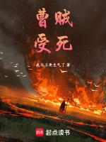 曹贼指谁