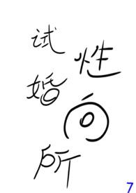 试婚性向所np