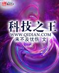 重生香江科技之王
