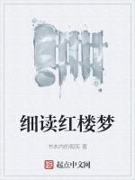 阅读红楼梦