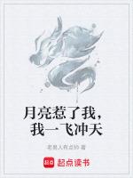 月亮惹的祸原唱歌词