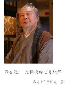 四合院贾张氏的快乐生活笔趣阁