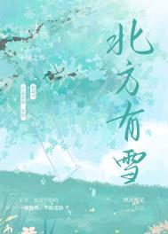 北方有雪讲的什么内容