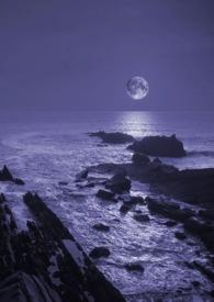 暗夜与黎明一共多少集