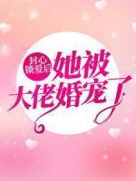 苏一心陆见倾全文免费阅读夏上人