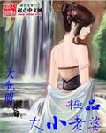 极品大小老婆全文