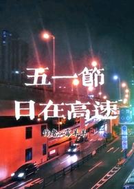 五一节日在高速霉羊羊在线阅读