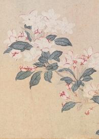 撷春色(强取豪夺)荀姹