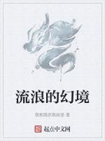 流浪的技能释放顺序
