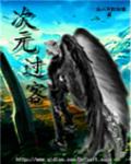 次元饭啥意思