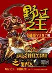 联盟 我野区