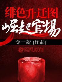 绯色升迁图 崛起官场