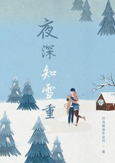夜深知雪重宝书网