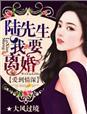 陆先生我要离婚!