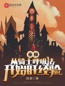 主角从骑士到巫师的