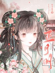 正月明所