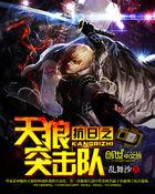 抗战之天狼突击队免费阅读