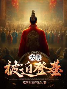 大明被迫登基gl