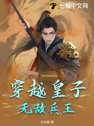 主角穿越皇子的